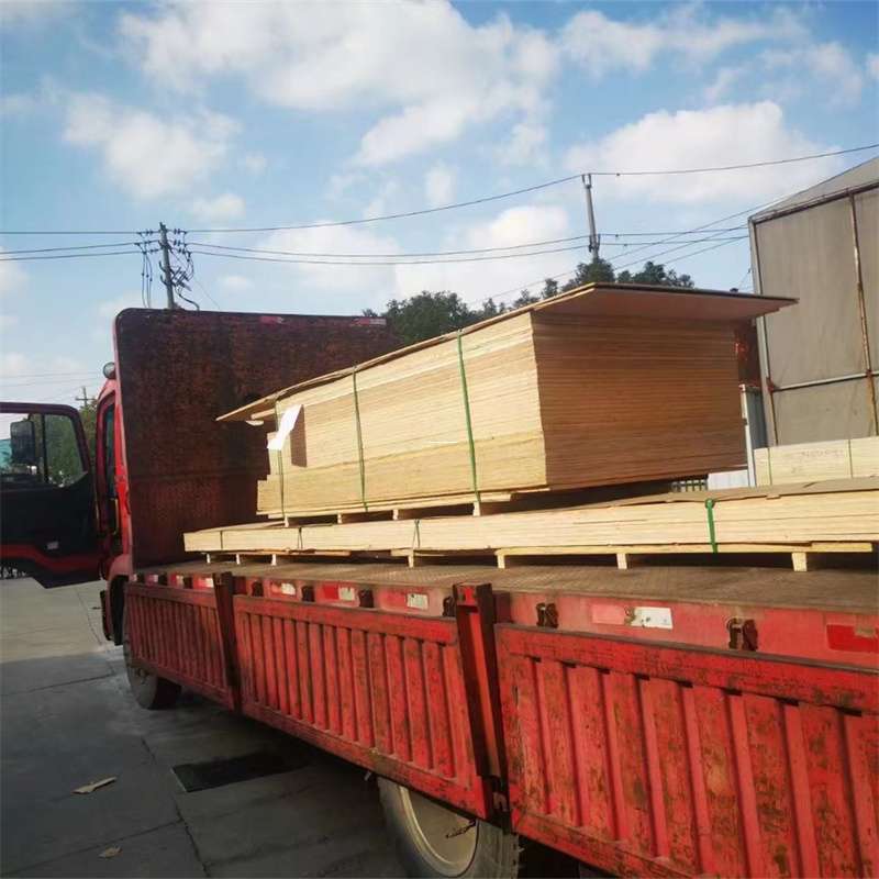 苍南到河北物流公司——一站式服务，让货运更便捷